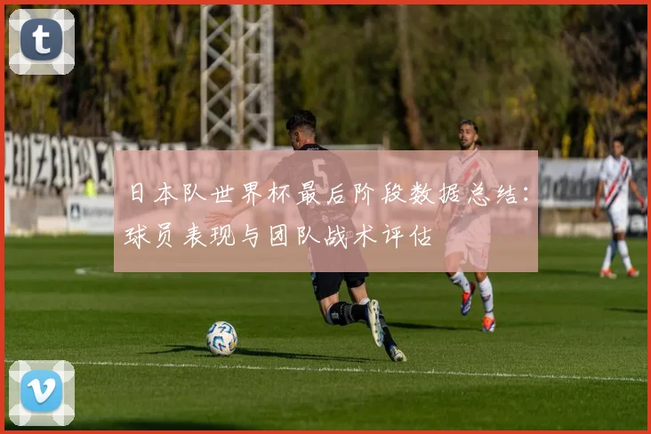 日本队世界杯最后阶段数据总结：球员表现与团队战术评估