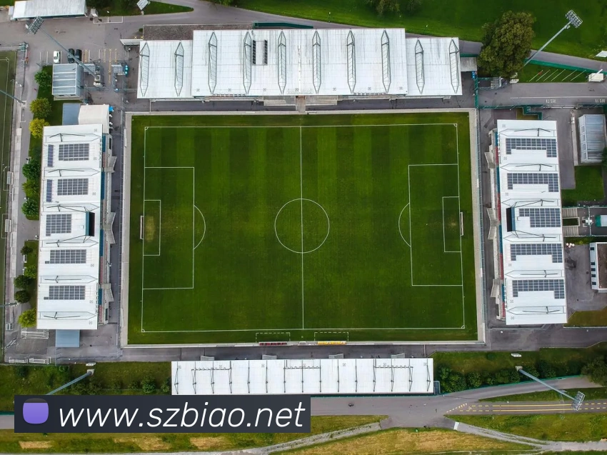 多媒体互动体验