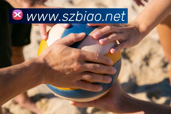 开云在线官网登录appAPP 体育赛事宣传图